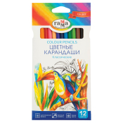 Карандаши цветные Гамма "Классические", 12цв., заточен., картон. упаковка, европодвес, 050918_02