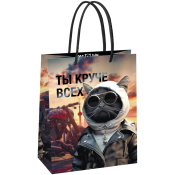 Пакет подарочный 18*23*10см MESHU "Cool guy", глянцевая ламинация, MS_61573