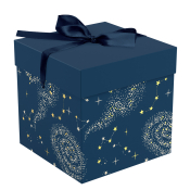 Коробка складная подарочная MESHU "Magic", (15*15*15см), с лентой, отд фольгой, MS_62560