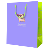 Пакет подарочный 11*14*6,5см MESHU "Покорителю моего сердечка", ламинированный, MS_52217